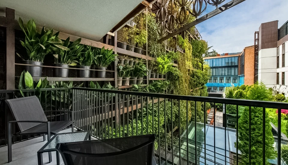 هتل آیوتا تفلیس